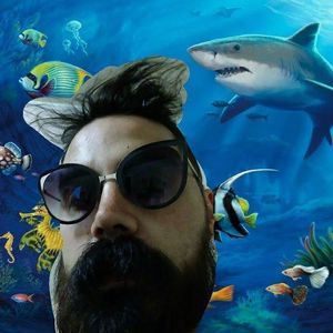 Meet your Posher, Alphonso